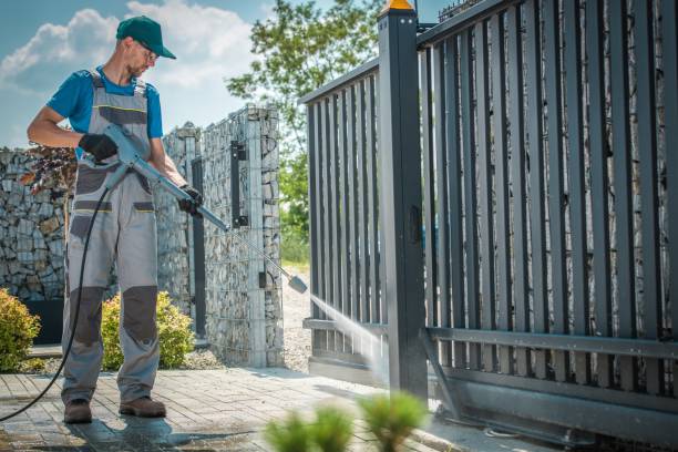 Best Rust Removal  in Sistersville, WV