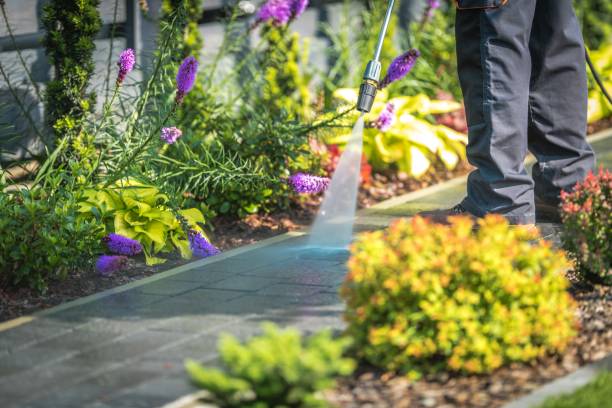 Best Fence Cleaning  in Sistersville, WV