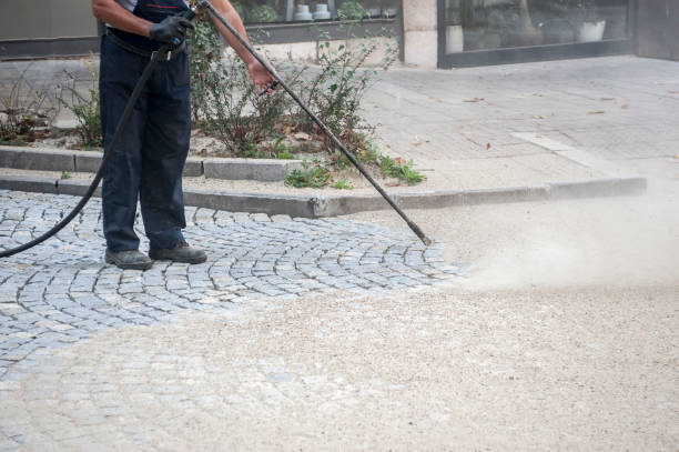 Best Pre-Holiday Cleaning  in Sistersville, WV